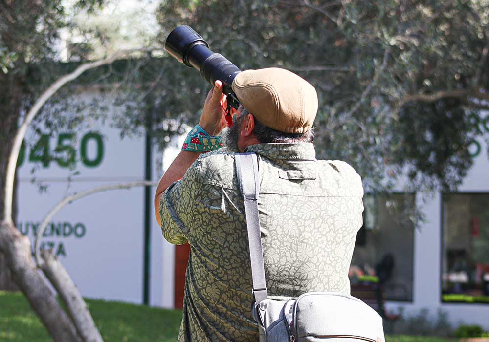 Birdwatching