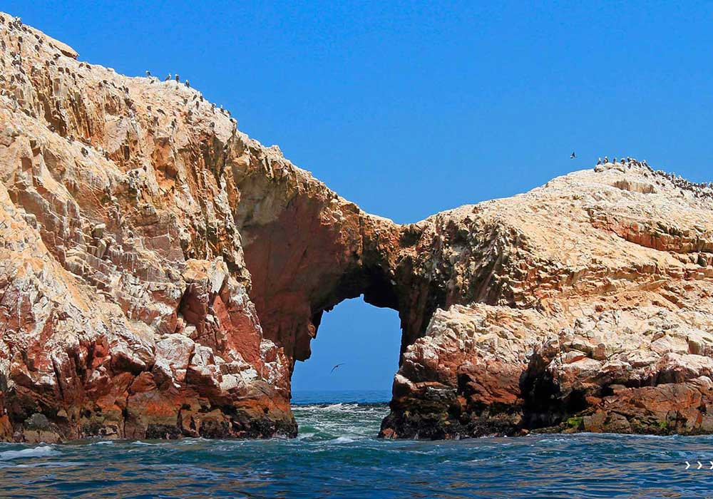 ballestas_islands_paracas